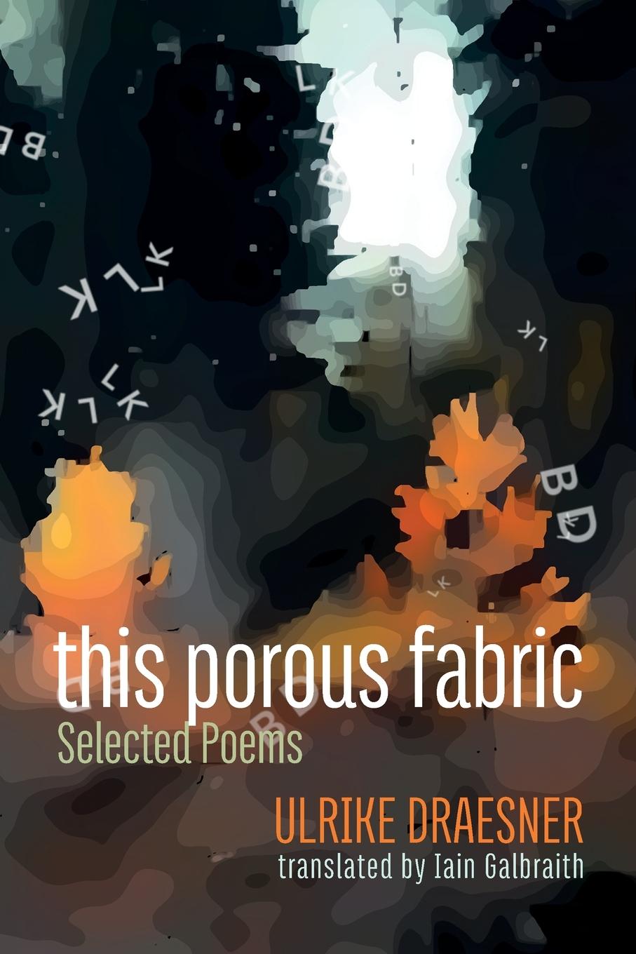 Book this porous fabric Ulrike Draesner