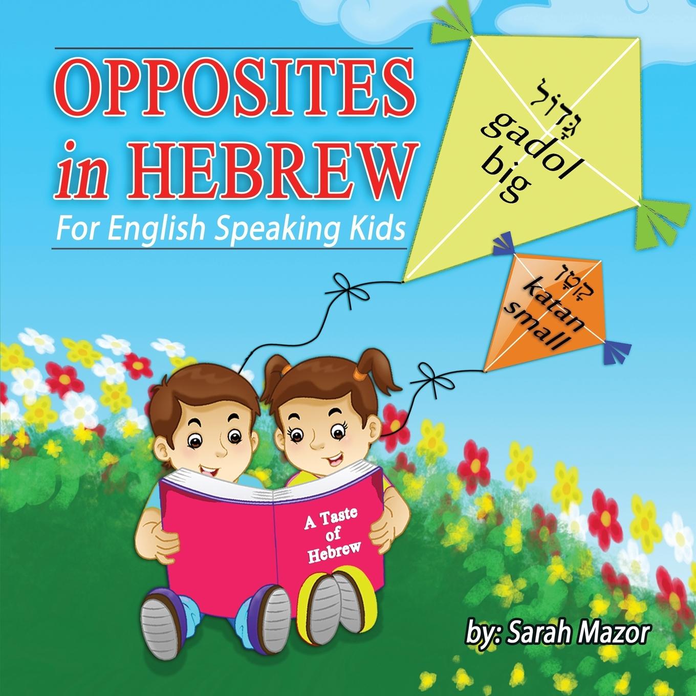 Kniha Opposites in Hebrew for English-Speaking Kids 