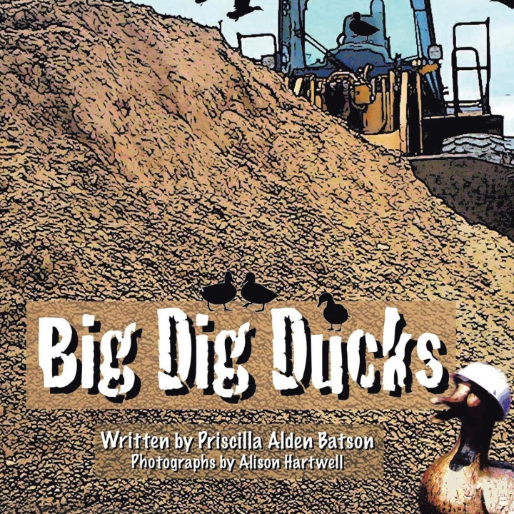 Book Big Dig Ducks Priscilla Batson
