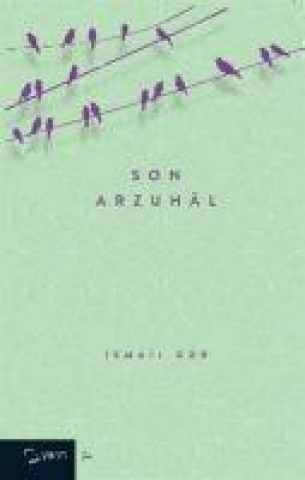 Libro Son Arzuhal 