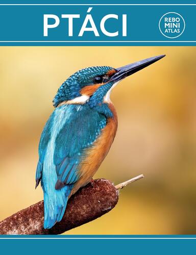 Libro Ptáci miniatlas 
