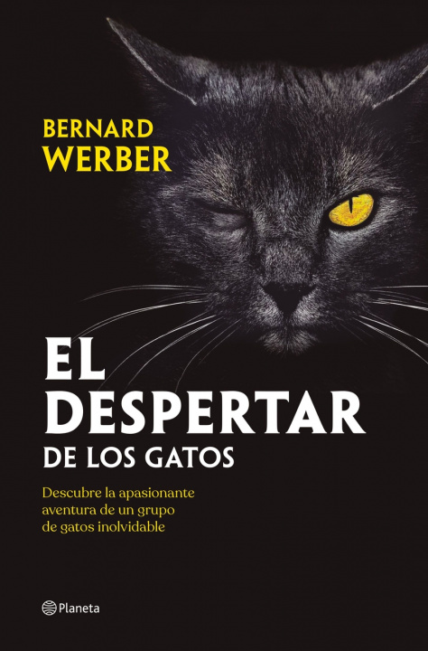 Kniha El despertar de los gatos BERNARD WERBER