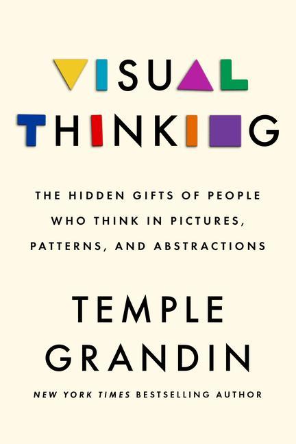 Kniha Visual Thinking: The Hidden Gifts of People Who Think in Pictures, Patterns, and Abstractions 