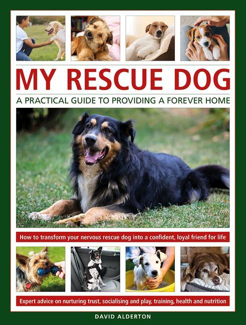 Книга My Rescue Dog: A practical guide to providing a forever home David Alderton