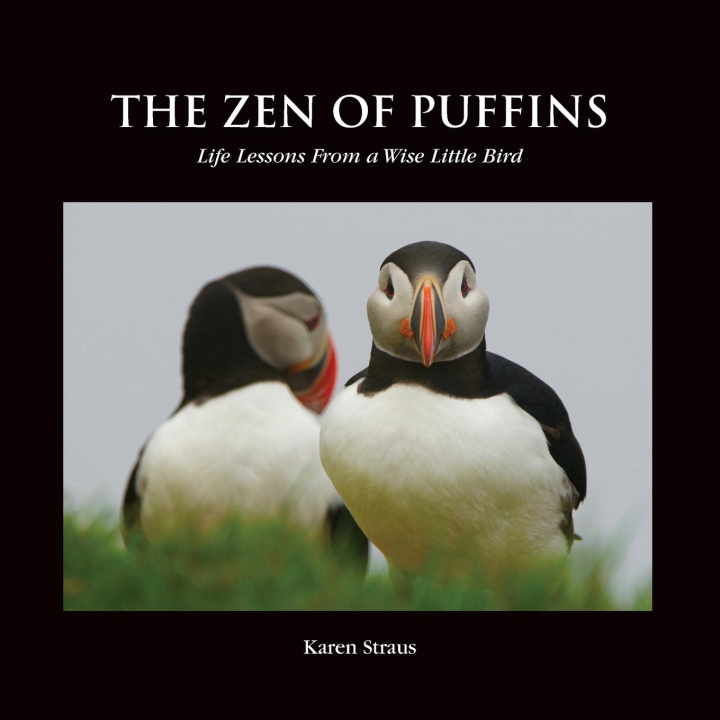 Carte Zen of Puffins, Life Lessons From a Wise Little Bird Bonnie Toth