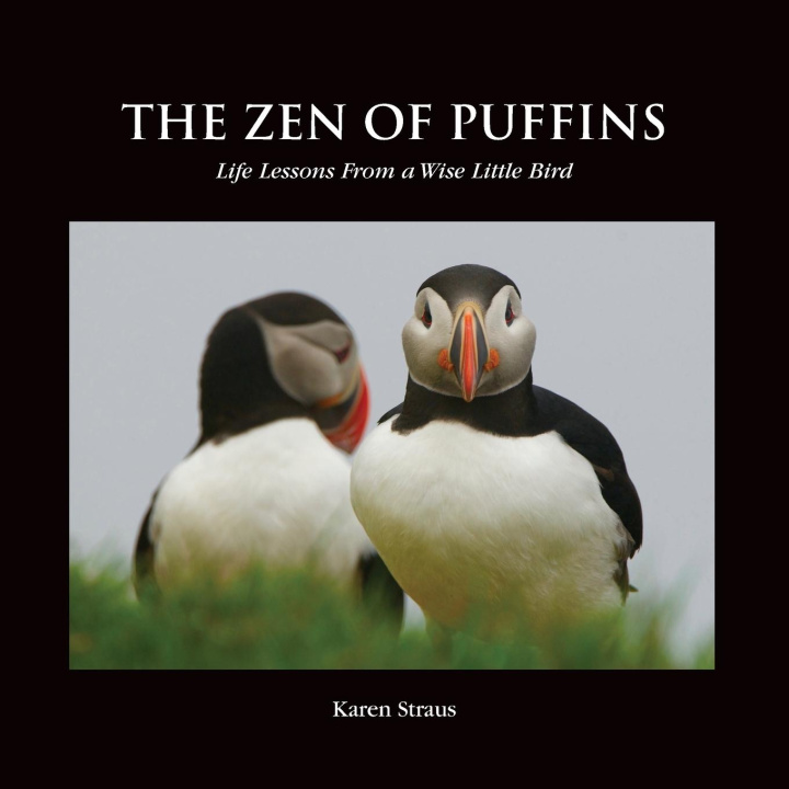 Kniha Zen of Puffins, Life Lessons From a Wise Little Bird Bonnie Toth