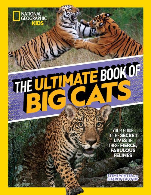 Könyv Ultimate Book of Big Cats Sharon Guynup