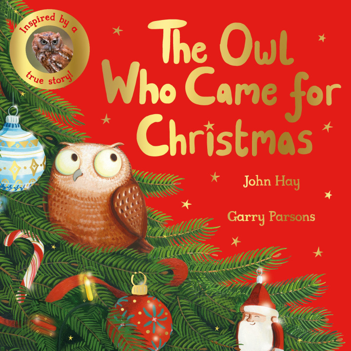Kniha Owl Who Came for Christmas John Hay