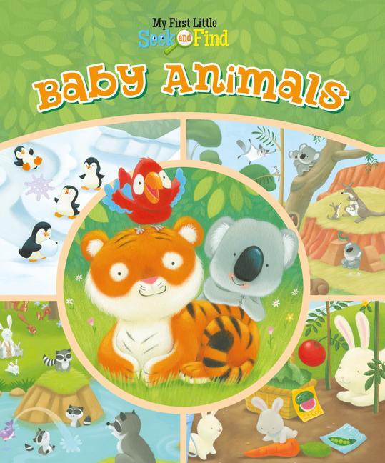 Kniha Baby Animals Tamsin Hinrichsen