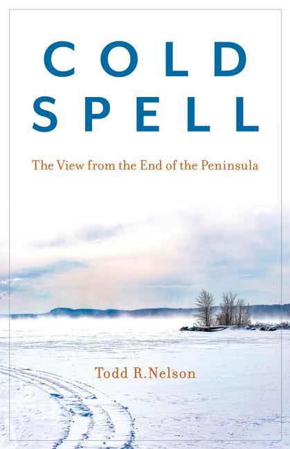 Buch COLD SPELL Todd R. Nelson