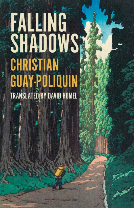 Knjiga Falling Shadows Christian Guay-Poliquin