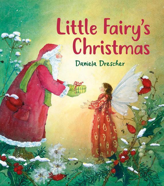 Kniha Little Fairy's Christmas 