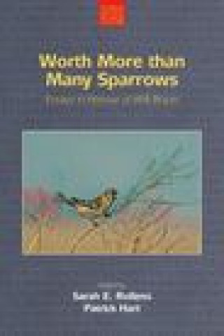 Carte Worth More Than Many Sparrows ROLLENS  SARAH