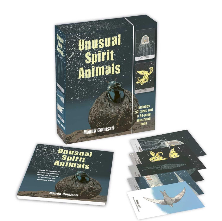 Kniha Unusual Animal Messages Oracle Deck COMISARI  MANDA
