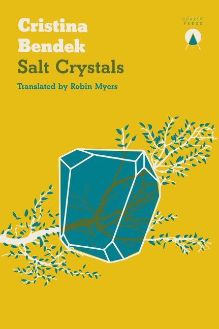 Kniha Salt Crystals Robin Myers