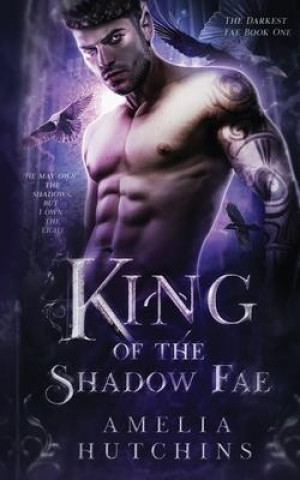 Kniha King of the Shadow Fae Melissa Burg