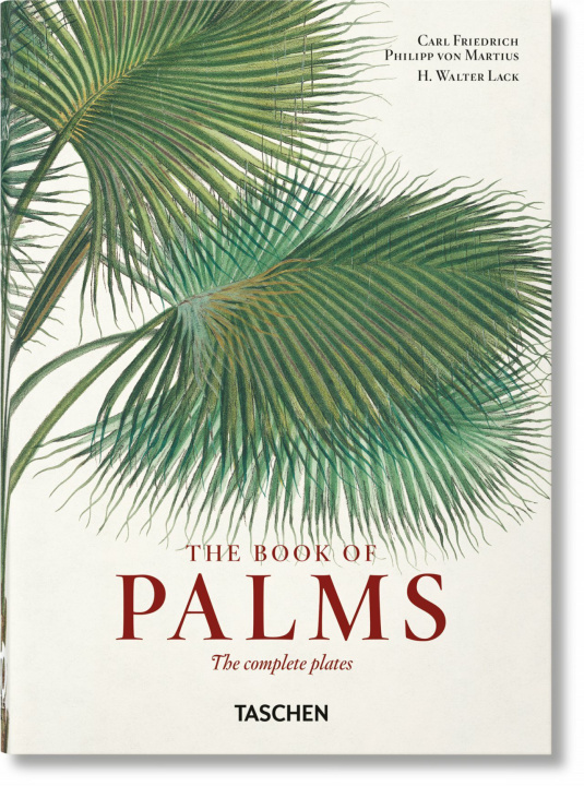 Kniha Martius. The Book of Palms. 40th Ed. TASCHEN