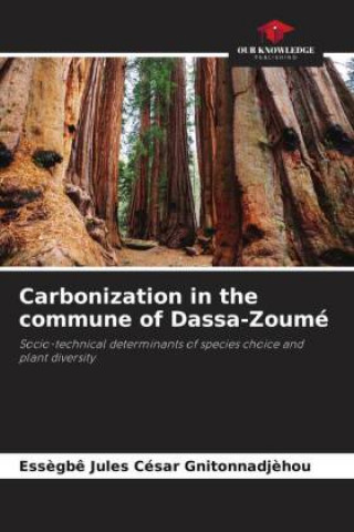 Knjiga Carbonization in the commune of Dassa-Zoumé Essègbê Jules César Gnitonnadjèhou
