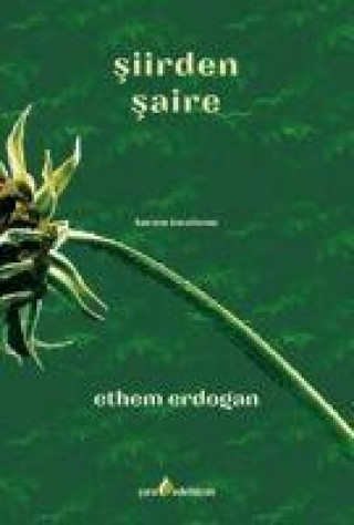Boek Siirden Saire 
