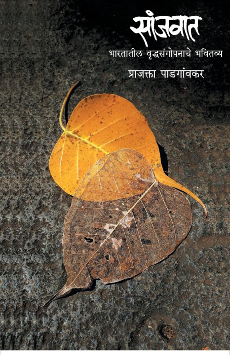 Könyv Sanjwat 
