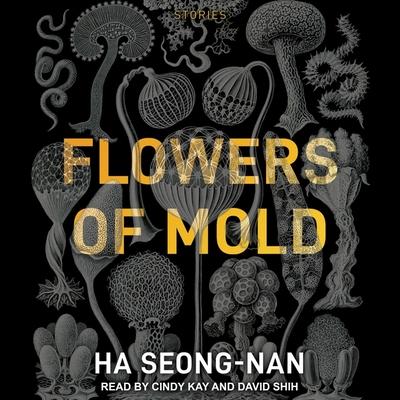 Digital Flowers of Mold: Stories Cindy Kay
