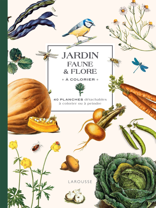 Kniha Jardin Faune et flore à colorier 
