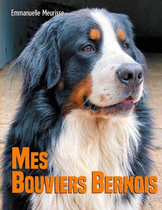 Carte Mes Bouviers Bernois 