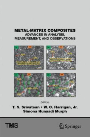 Carte Metal-Matrix Composites T. S. Srivatsan
