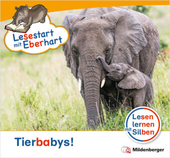 Knjiga Lesestart mit Eberhart: Tierbabys! Stefanie Drecktrah