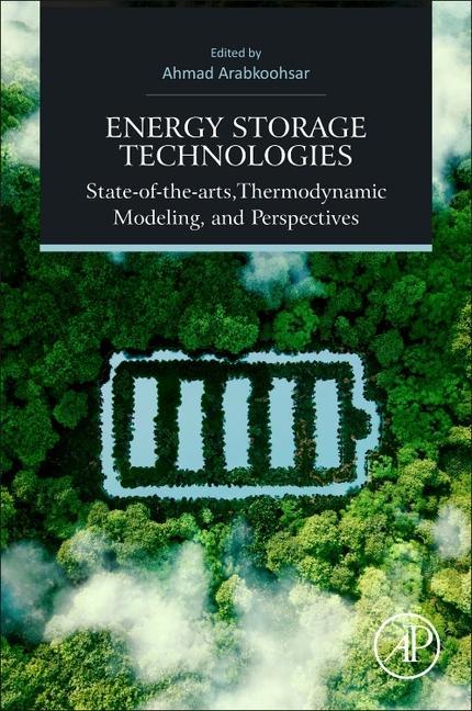 Könyv Future Grid-Scale Energy Storage Solutions Ahmad Arabkoohsar
