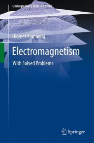 Könyv Electromagnetism Hiqmet Kamberaj