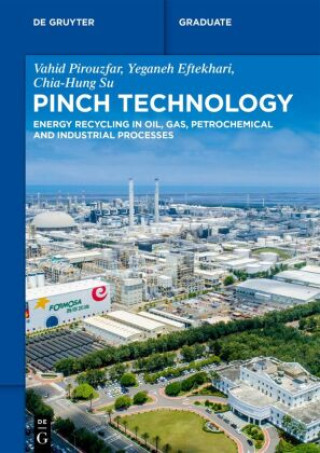 Knjiga Pinch Technology Vahid Pirouzfar