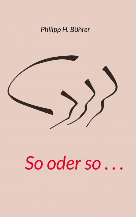 Knjiga So oder so . . . 