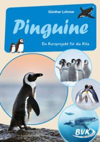 Kniha Pinguine 