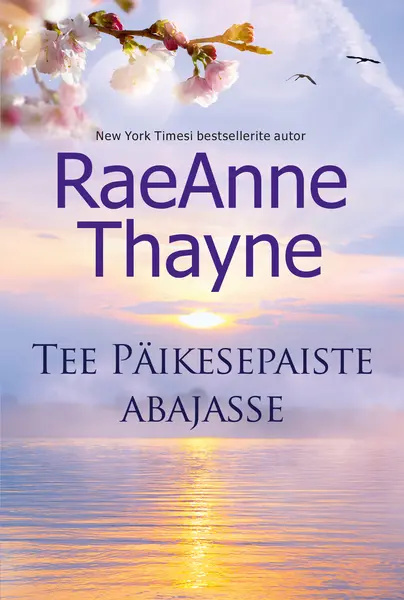 Kniha Tee päikesepaiste abajasse Raeanne Thayne