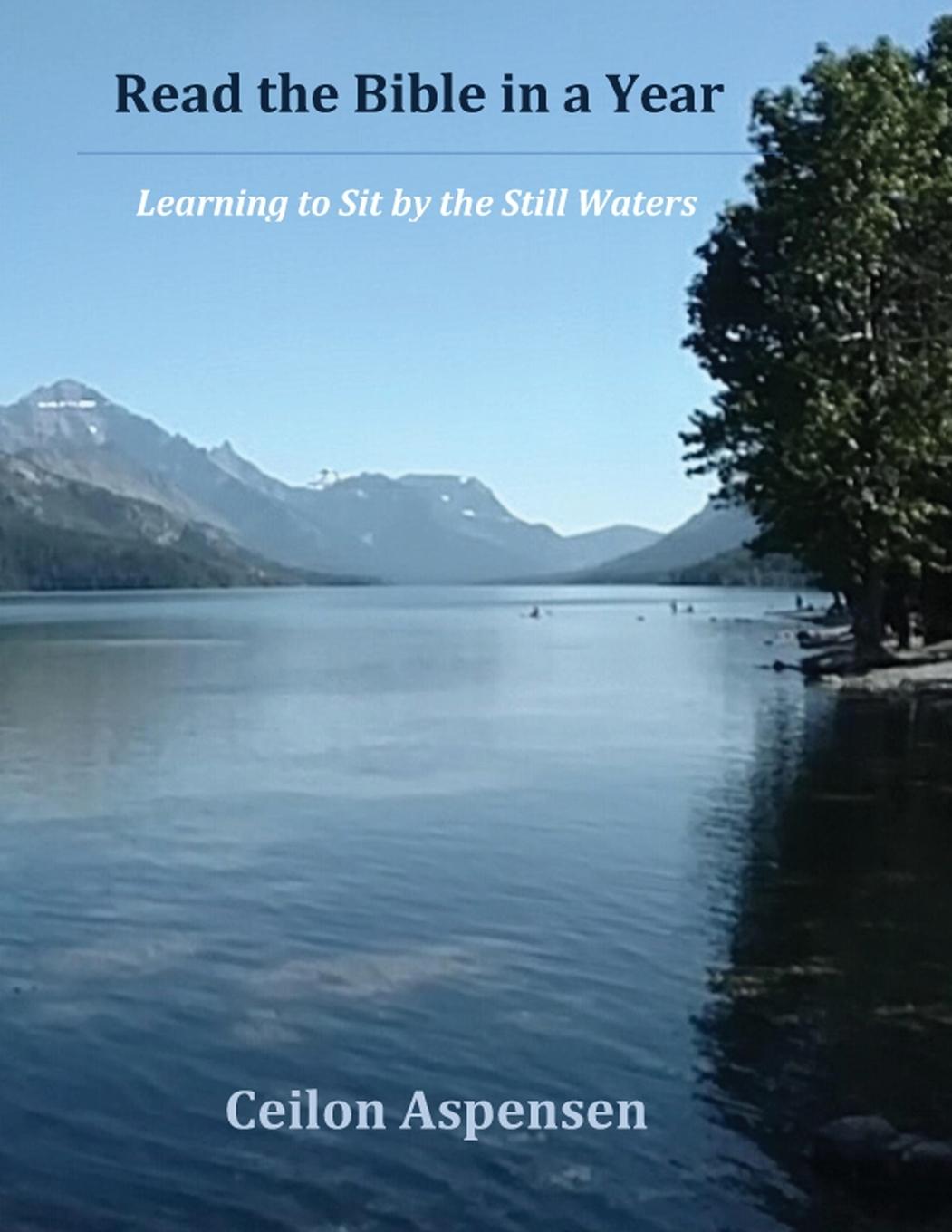 Knjiga Read the Bible In a Year Workbook Ceilon Aspensen