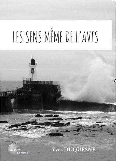 Book Les sens même de l'avis Duquesne