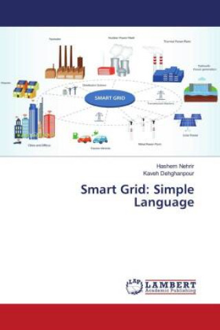 Knjiga Smart Grid: Simple Language Kaveh Dehghanpour
