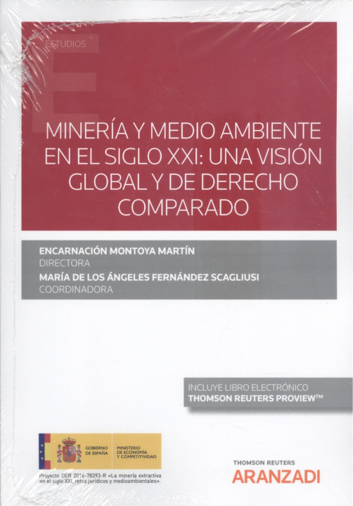 Книга Minería y medio ambiente en el siglo xxi: ENCARNACION MONTOYA