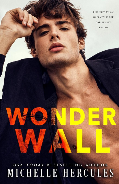 Knjiga Wonderwall Michelle Hercules