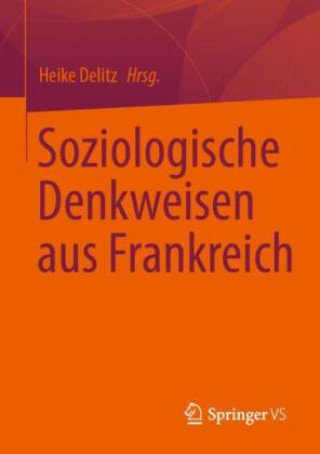 Kniha Soziologische Denkweisen aus Frankreich Heike Delitz