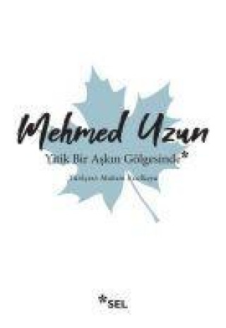 Knjiga Yitik Bir Askin Gölgesinde 