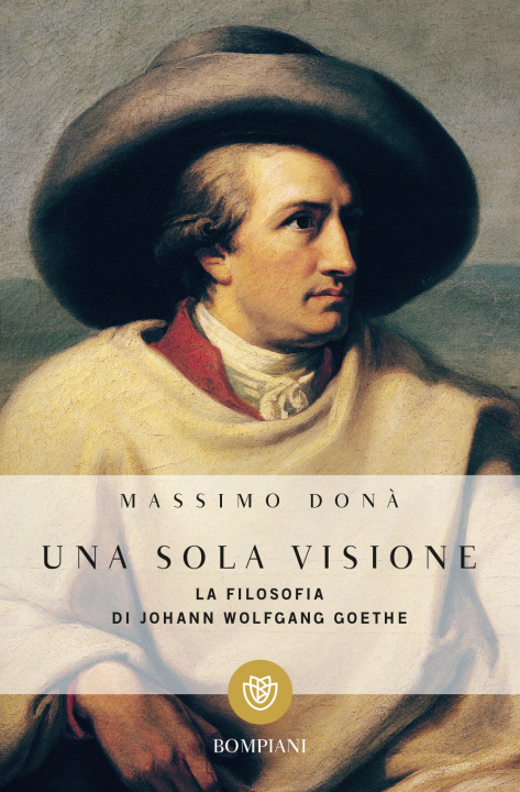 Книга sola visione. Filosofia di Johann Wolfgang Goethe Massimo Donà