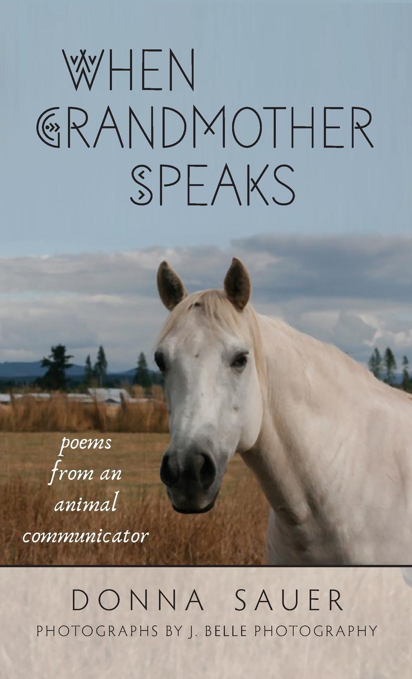 Buch When Grandmother Speaks Donna Sauer