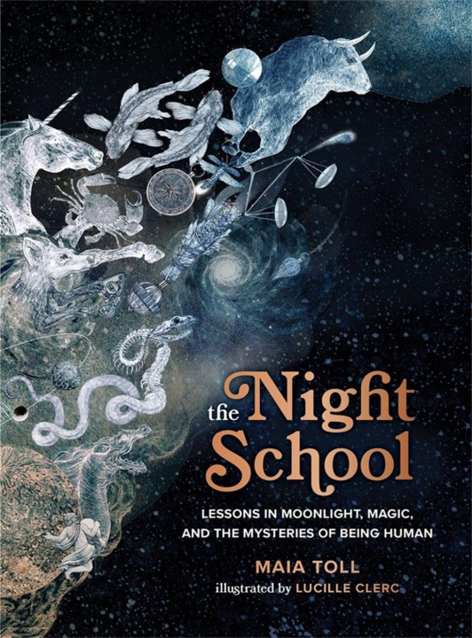Kniha Night School Lucille Clerc