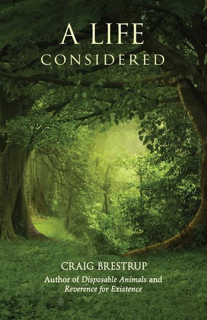 Knjiga A Life Considered Constance King