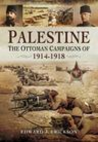 Knjiga Palestine EDWARD J ERICKSON