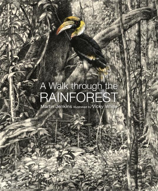 Книга A Walk Through the Rain Forest Vicky White
