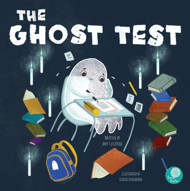 Libro The Ghost Test Flavia Zuncheddu