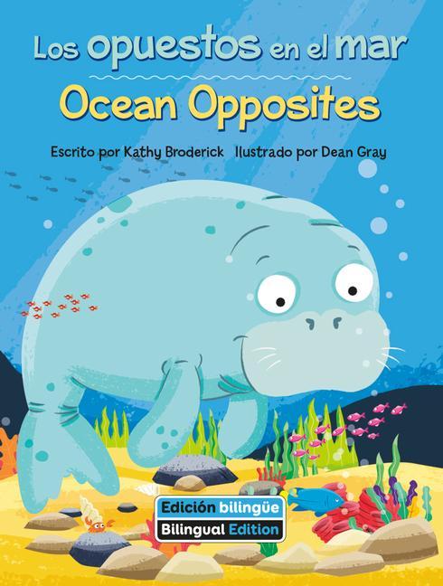 Kniha Ocean Opposites Dean Gray